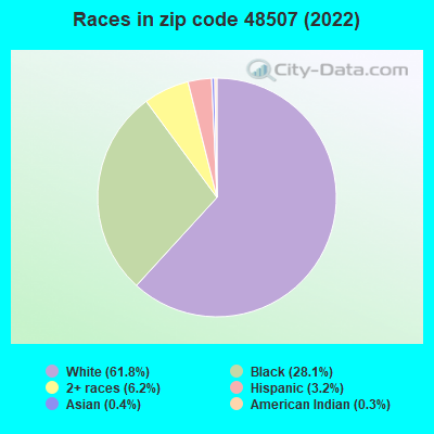 Races in zip code 48507 (2019)