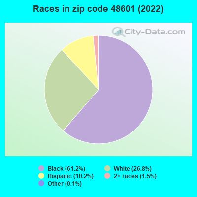 Races in zip code 48601 (2021)