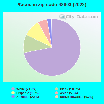 Races in zip code 48603 (2022)