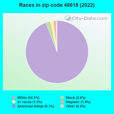 Races in zip code 48618 (2019)