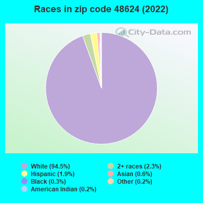 Races in zip code 48624 (2019)