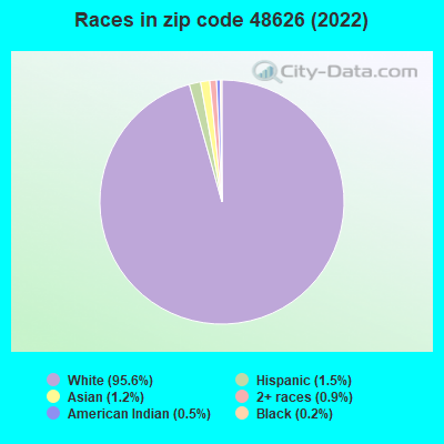 Races in zip code 48626 (2019)
