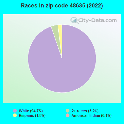 Races in zip code 48635 (2022)
