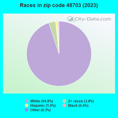 Races in zip code 48703 (2021)