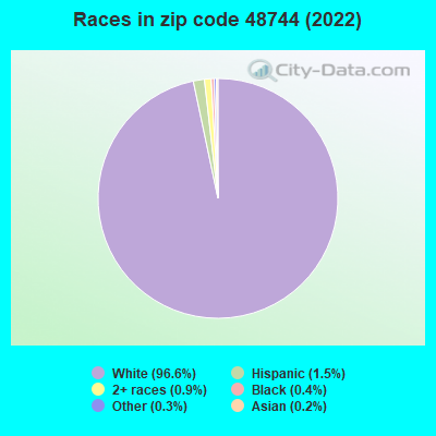 Races in zip code 48744 (2022)