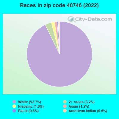 Races in zip code 48746 (2019)