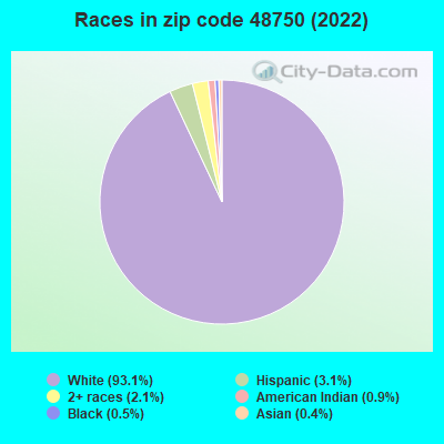 Races in zip code 48750 (2021)
