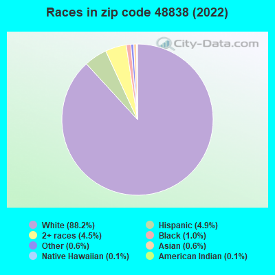 Races in zip code 48838 (2019)