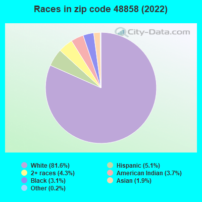Races in zip code 48858 (2019)