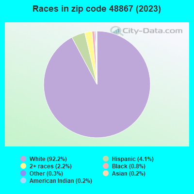 Races in zip code 48867 (2019)