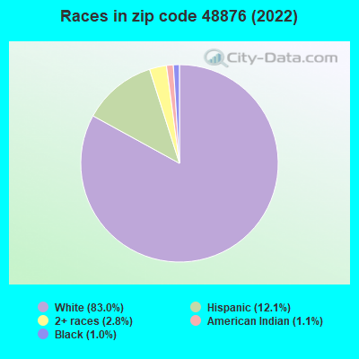 Races in zip code 48876 (2022)