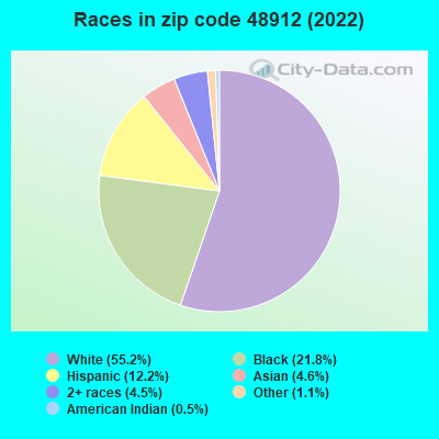 Races in zip code 48912 (2021)