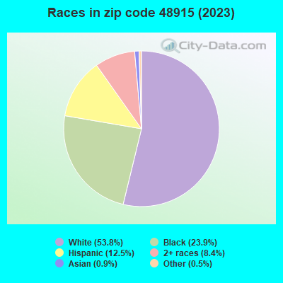 Races in zip code 48915 (2021)