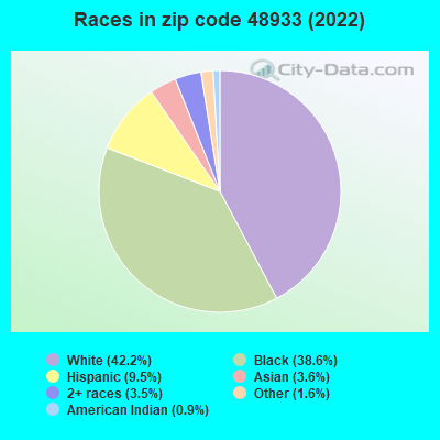Races in zip code 48933 (2021)