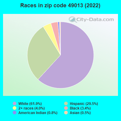 Races in zip code 49013 (2019)