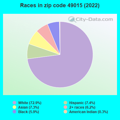Races in zip code 49015 (2021)