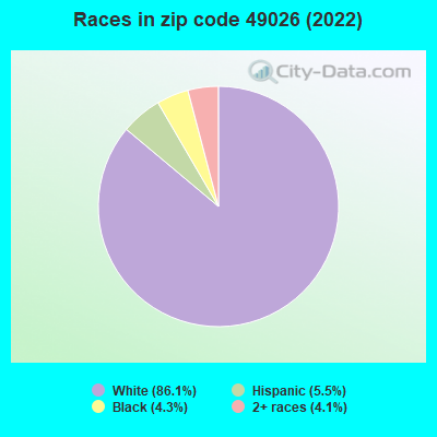 Races in zip code 49026 (2019)