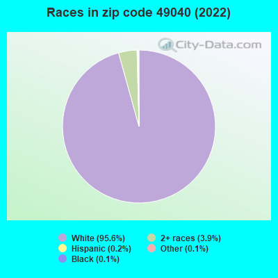 Races in zip code 49040 (2021)