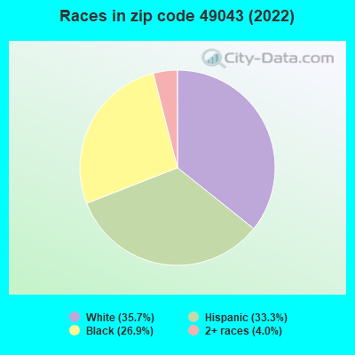 Races in zip code 49043 (2022)