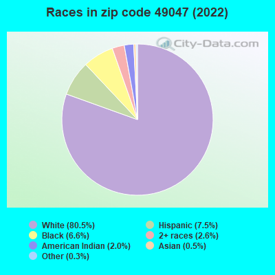 Races in zip code 49047 (2019)