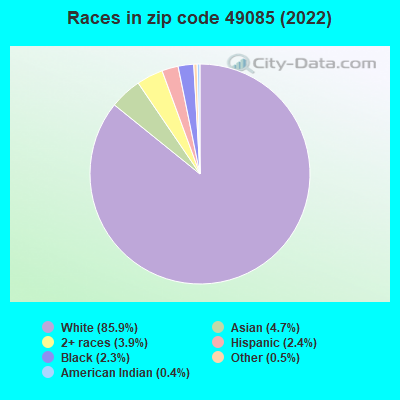 Races in zip code 49085 (2021)