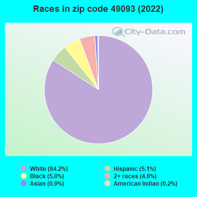 Races in zip code 49093 (2021)