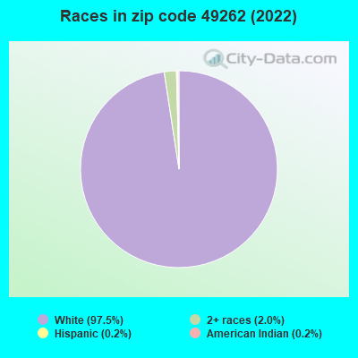 Races in zip code 49262 (2019)