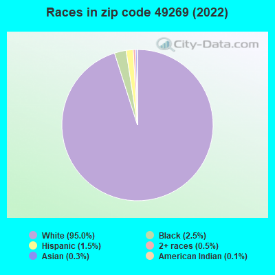 Races in zip code 49269 (2022)