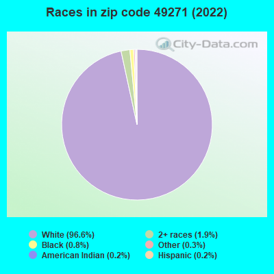 Races in zip code 49271 (2019)