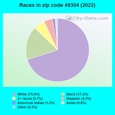 Races in zip code 49304 (2019)