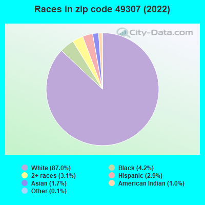 Races in zip code 49307 (2019)