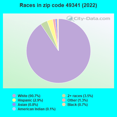Races in zip code 49341 (2019)