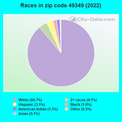 Races in zip code 49349 (2019)