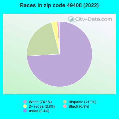 Races in zip code 49408 (2022)