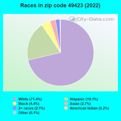 Races in zip code 49423 (2021)