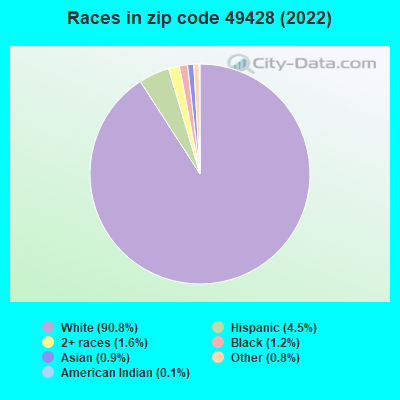 Races in zip code 49428 (2021)