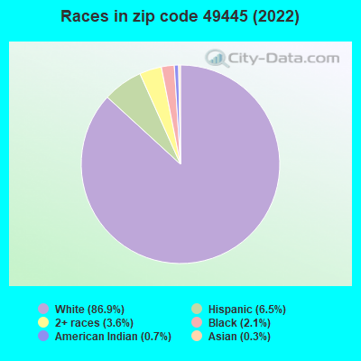Races in zip code 49445 (2019)