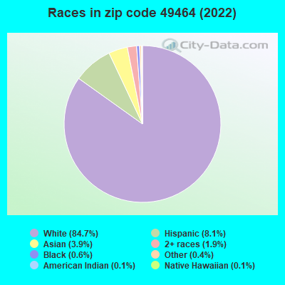 Races in zip code 49464 (2019)