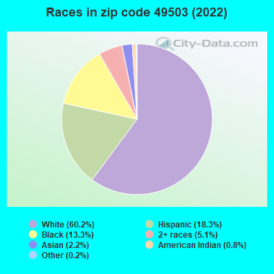 Races in zip code 49503 (2022)