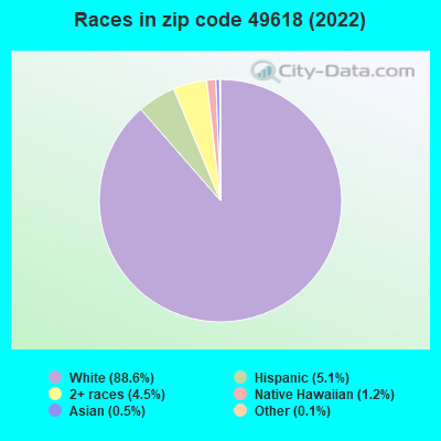 Races in zip code 49618 (2021)