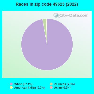 Races in zip code 49625 (2019)