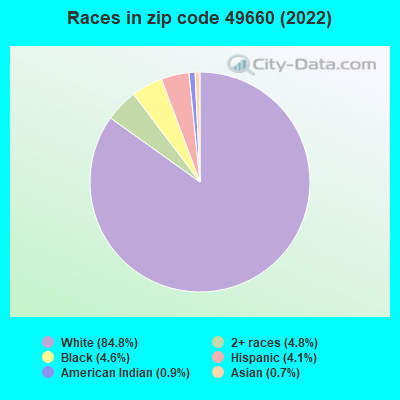 Races in zip code 49660 (2022)