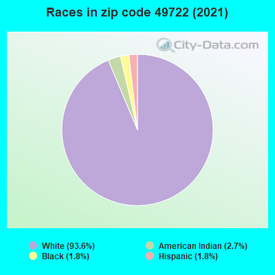 Races in zip code 49722 (2019)