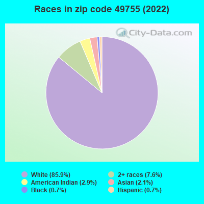 Races in zip code 49755 (2022)