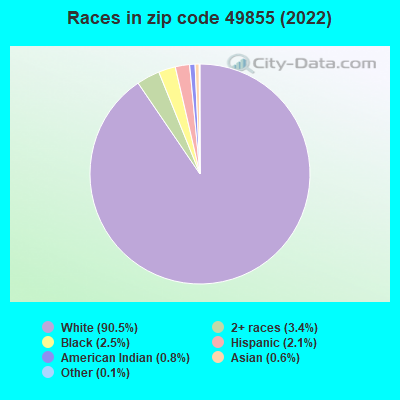 Races in zip code 49855 (2019)