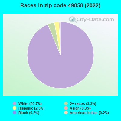 Races in zip code 49858 (2021)