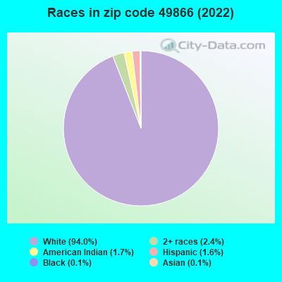 Races in zip code 49866 (2019)
