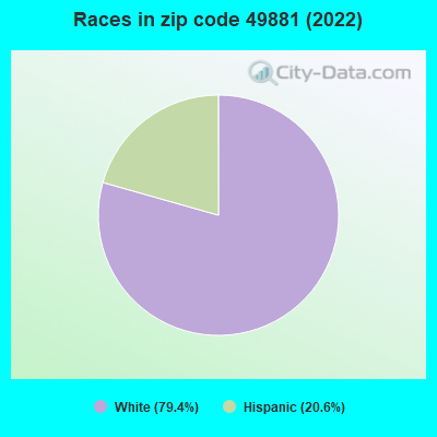 Races in zip code 49881 (2022)