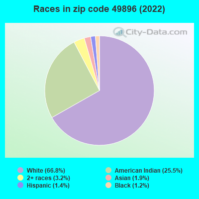 Races in zip code 49896 (2022)
