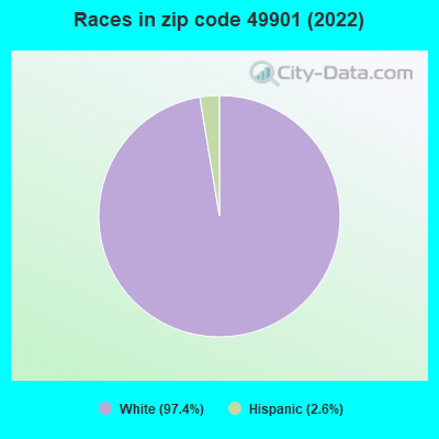 Races in zip code 49901 (2019)